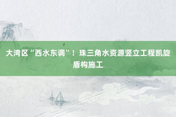 大湾区“西水东调”！珠三角水资源竖立工程凯旋盾构施工