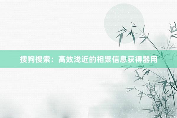 搜狗搜索：高效浅近的相聚信息获得器用
