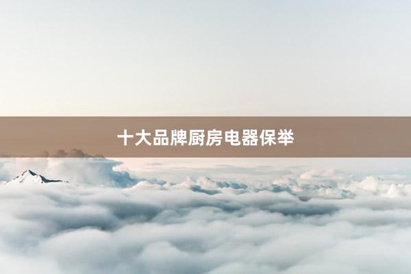 十大品牌厨房电器保举