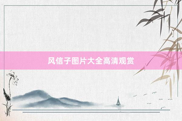 风信子图片大全高清观赏