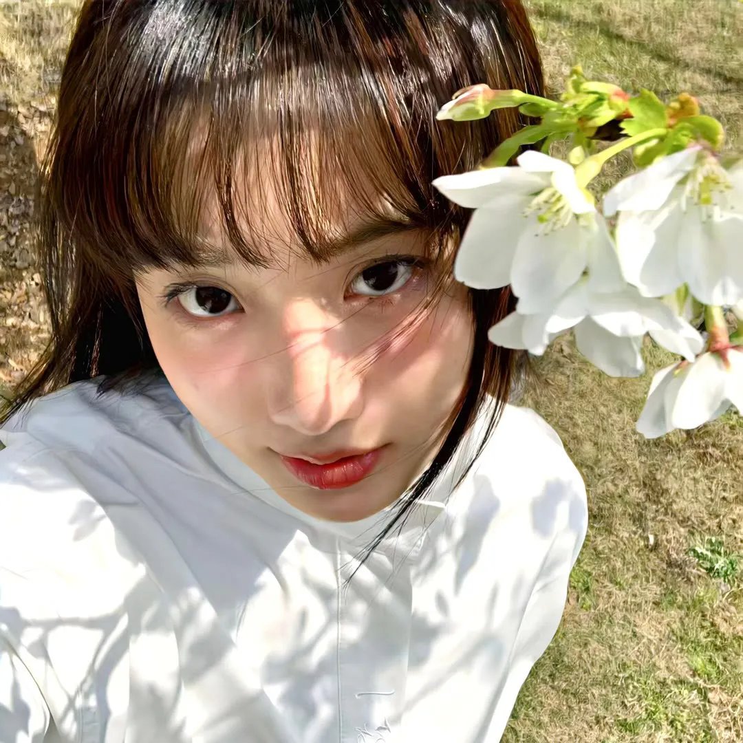 水星领航员第一季