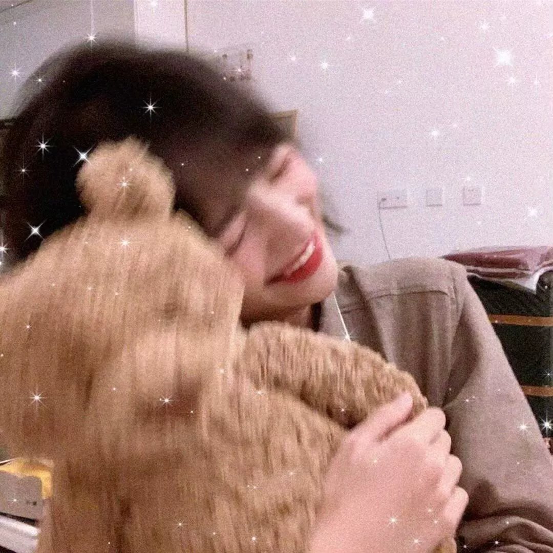 为什么猫都叫不来